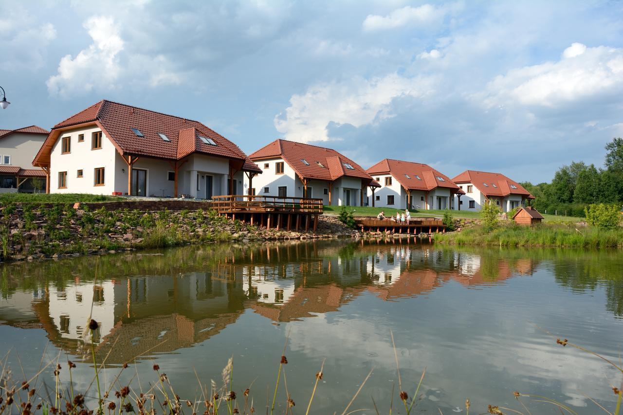 Swietokrzyska Polana - Medical Resort Chrusty المظهر الخارجي الصورة